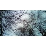 Zdjęcia użytkowników Telefunken Outdoor LTE