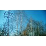 Zdjęcia użytkowników Telefunken Outdoor LTE