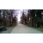 Zdjęcia użytkowników Telefunken Outdoor LTE