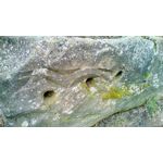 Zdjęcia użytkowników Telefunken Outdoor LTE