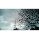 Zdjęcia użytkowników Telefunken Outdoor LTE