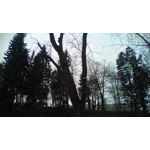 Zdjęcia użytkowników Telefunken Outdoor LTE