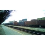 Zdjęcia użytkowników Telefunken Outdoor LTE