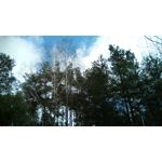 Zdjęcia użytkowników Telefunken Outdoor LTE