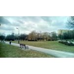 Zdjęcia użytkowników Telefunken Outdoor LTE