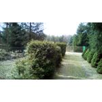 Zdjęcia użytkowników Telefunken Outdoor LTE