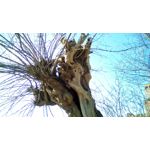 Zdjęcia użytkowników Telefunken Outdoor LTE