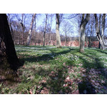 ZDJĘCIA Z TEGO TELEFONU