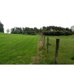 ZDJĘCIA Z TEGO TELEFONU