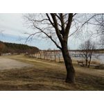 ZDJĘCIA Z TEGO TELEFONU