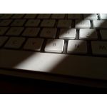 Zdjęcia użytkowników TP-Link Neffos C5