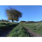 ZDJĘCIA Z TEGO TELEFONU