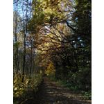 Zdjęcia użytkowników TP-Link Neffos C5L Zdjęcia użytkowników TP-Link Neffos C5L