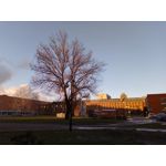 Zdjęcia użytkowników TP-Link Neffos C9