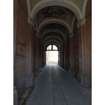 Zdjęcia użytkowników TP-Link Neffos C9A