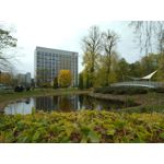 Zdjęcia użytkowników TP-Link Neffos C9A