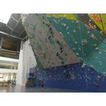 Zdjęcia użytkowników TP-Link Neffos C9A