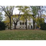 Zdjęcia użytkowników TP-Link Neffos C9A