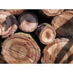 Zdjęcia użytkowników TP-Link Neffos X1