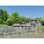 Zdjęcia użytkowników TP-Link Neffos X1