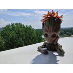 ZDJĘCIA Z TEGO TELEFONU