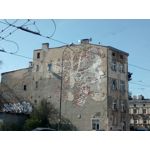 Zdjęcia użytkowników TP-Link Neffos X1