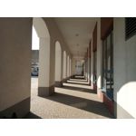 Zdjęcia użytkowników TP-Link Neffos X1