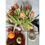 ZDJĘCIA Z TEGO TELEFONU