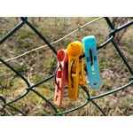 Zdjęcia użytkowników TP-Link Neffos X1