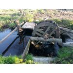 Zdjęcia użytkowników TP-Link Neffos X1