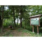 Zdjęcia użytkowników TP-Link Neffos X1