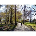 ZDJĘCIA Z TEGO TELEFONU