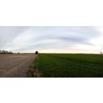 Zdjęcia użytkowników TP-Link Neffos X20 Pro