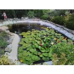 Zdjęcia użytkowników TP-Link Neffos Y5L Zdjęcia użytkowników TP-Link Neffos Y5L