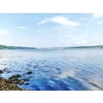 Zdjęcia użytkowników Ulefone Armor 24