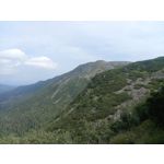 ZDJĘCIA Z TEGO TELEFONU