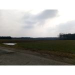 Zdjęcia użytkowników Ulefone Mix