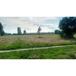 Zdjęcia użytkowników Ulefone T1