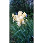 ZDJĘCIA Z TEGO TELEFONU