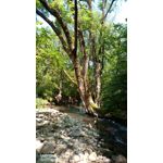 ZDJĘCIA Z TEGO TELEFONU