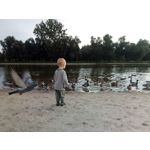 Zdjęcia użytkowników UMI Super