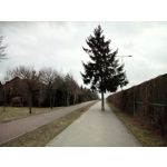 Zdjęcia użytkowników UMI Zero