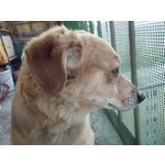 Zdjęcia użytkowników UMI Zero