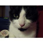 Zdjęcia użytkowników UMI Zero