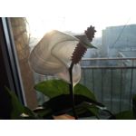 Zdjęcia użytkowników UMI Zero