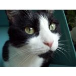 Zdjęcia użytkowników UMI Zero