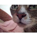 Zdjęcia użytkowników UMI Zero