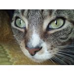 Zdjęcia użytkowników UMI Zero