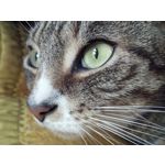 Zdjęcia użytkowników UMI Zero