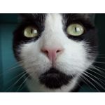 Zdjęcia użytkowników UMI Zero